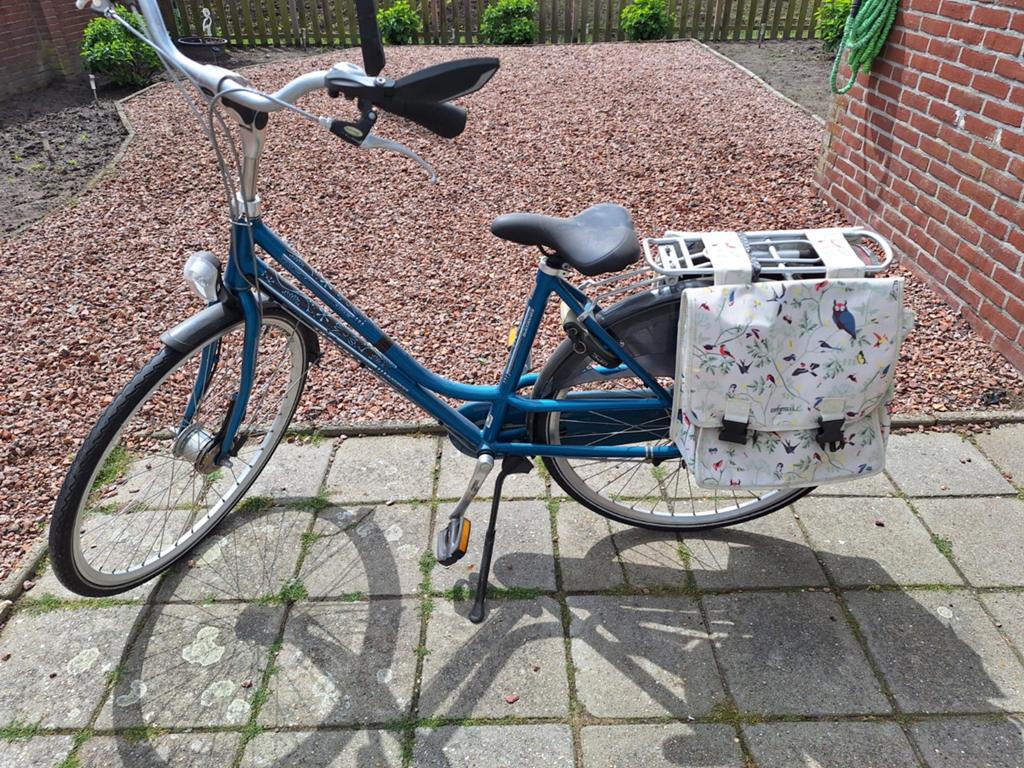 Batavus damesfiets met lage instap en fietstassen, Velgrem, Batavus, Ophalen of Verzenden, 53 tot 56 cm