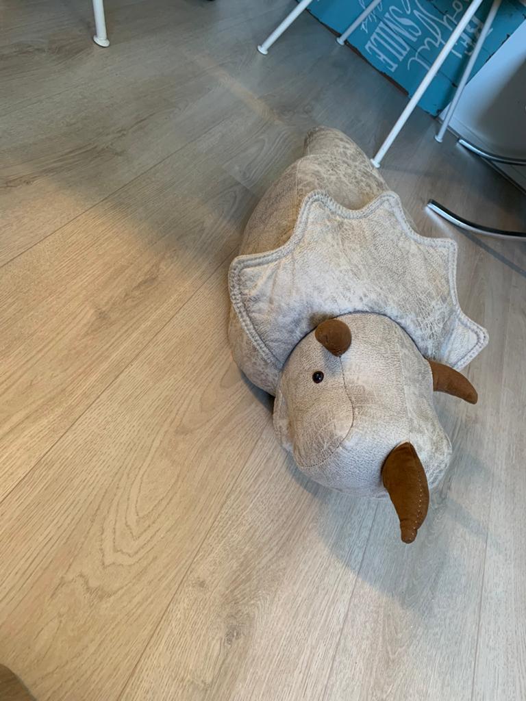 Dino poef, Ophalen, Zo goed als nieuw, Dinosaurus
