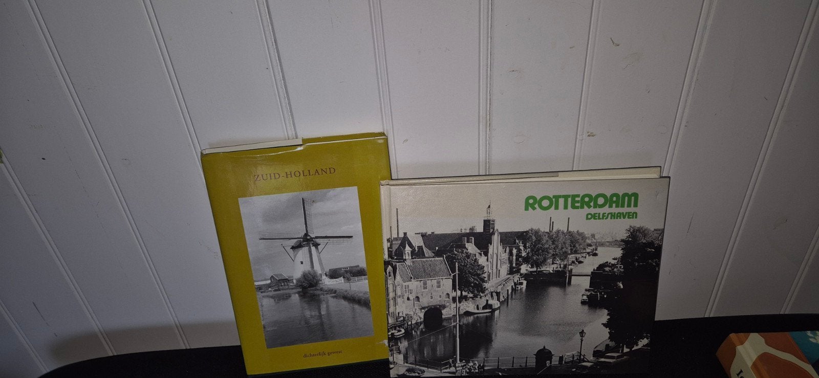Zuid-Holland & Rotterdam/Delfshaven boeken, Boeken, Ophalen of Verzenden, Gelezen, Zuid-Holland
