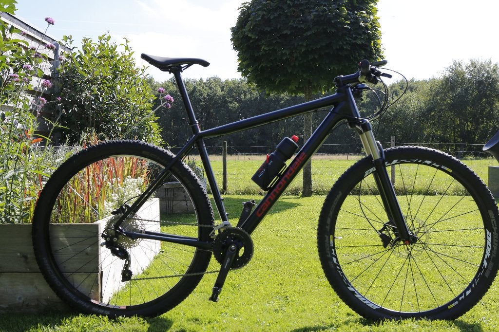 Cannondale Flash Carbon 29er XL –  volledig opgeknapt, Fietsen en Brommers, Gebruikt, 57 cm of meer, Hardtail, Schijfrem