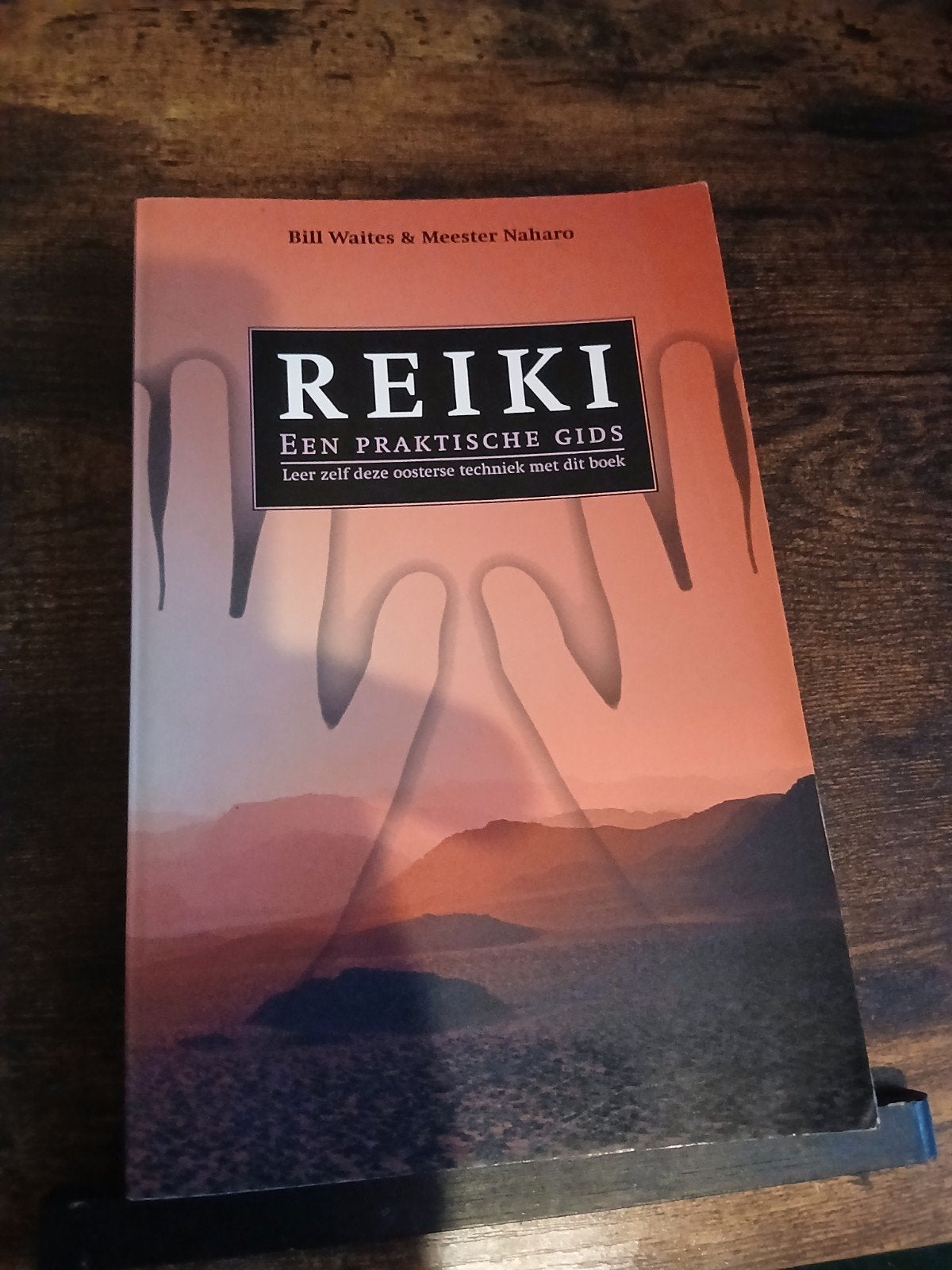 Reiki: Een Praktische Gids - Leer Oosterse Techniek, Boeken, Esoterie en Spiritualiteit, Gelezen, Instructieboek, Spiritualiteit algemeen