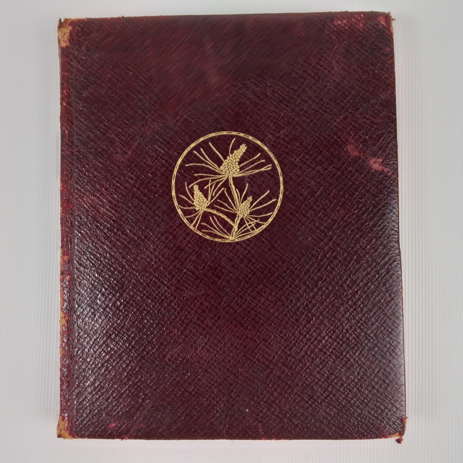 Het Jaar der Dichters 1913 - Poëziebundel, Boeken, Gelezen, Ophalen of Verzenden, Nederland, Diverse auteurs (o.a. J.C. Bloem, P.C. Boutens)