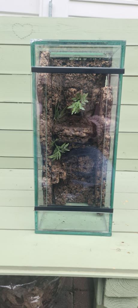 Terrarium vaste achterwand B18 D20 H42, Dieren en Toebehoren, Reptielen en Amfibieën | Toebehoren, Ophalen, Gebruikt, Terrarium of Paludarium