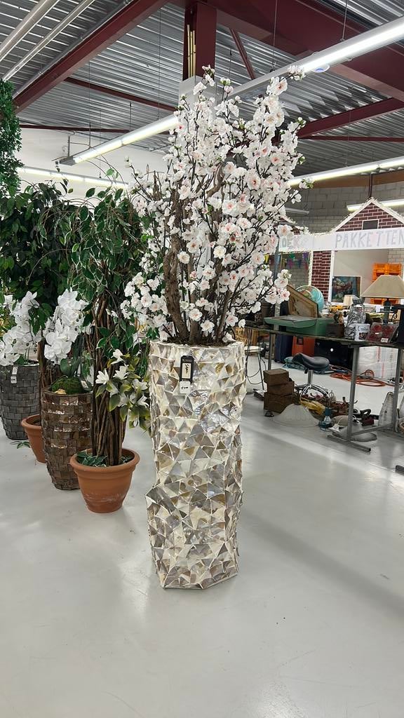 Mooie schelpen vaas met kunstplant erin €200 vaste prijs, Huis en Inrichting, Woonaccessoires | Vazen, Ophalen, Nieuw, Wit, Minder dan 50 cm