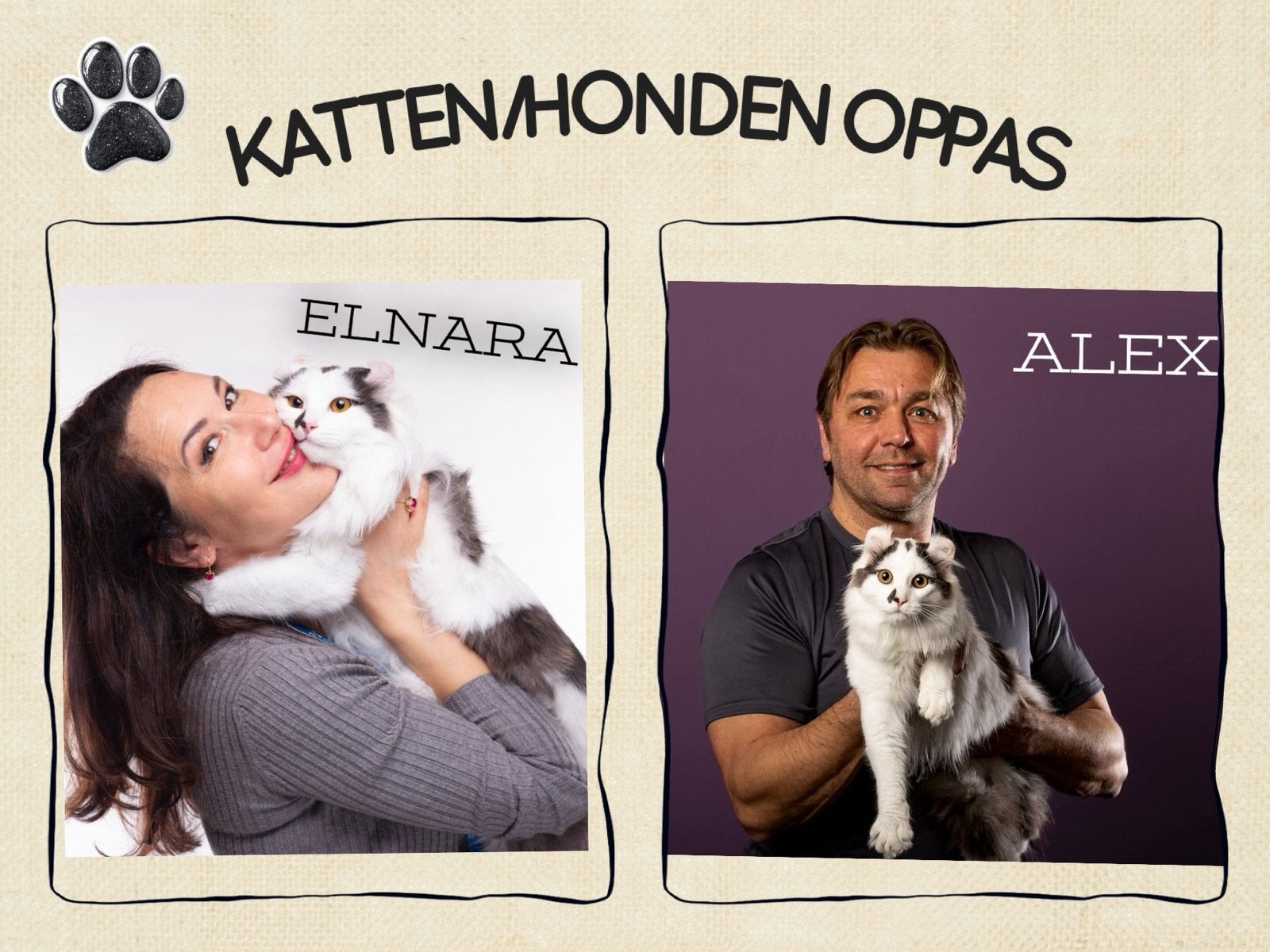 KATTEN  OPPAS aan huis | professioneel |