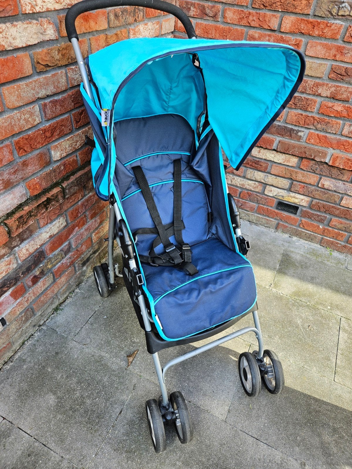 Hauck buggy, Ophalen, Gebruikt