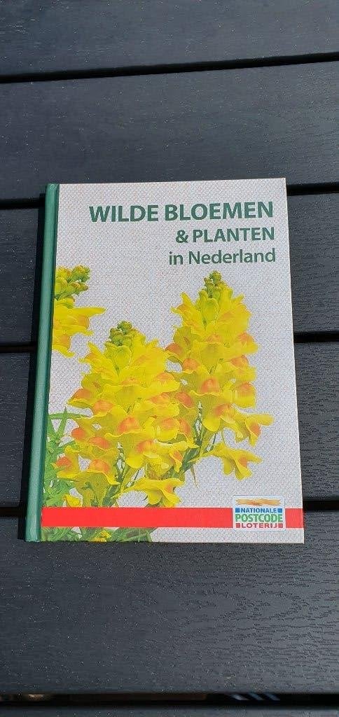 Wilde bloemen & planten in Nederland, Ophalen of Verzenden, Nieuw, Bloemen, Planten en Bomen
