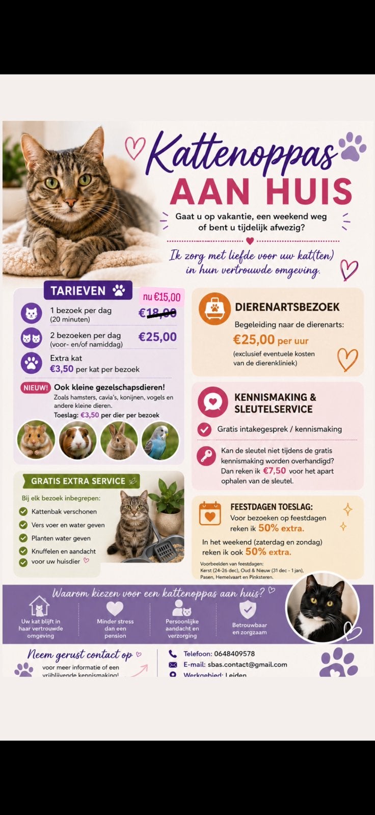 Katten oppas aan huis in Leiden, Komt aan huis, Oppas