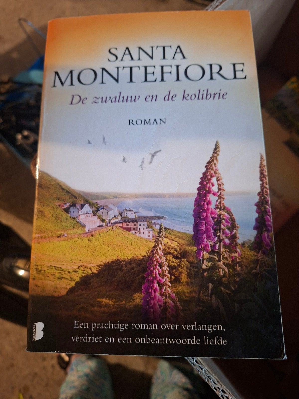 Santa Montefiore - De zwaluw en de kolibrie, Ophalen of Verzenden, Zo goed als nieuw, Santa Montefiore