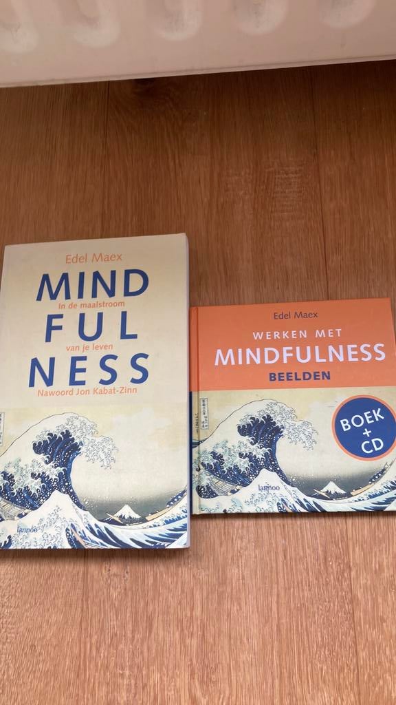 Edel Maex - Mindfulness plus boek en cd werken met beelden, Boeken, Zo goed als nieuw, Instructieboek, Overige onderwerpen, Edel Maex