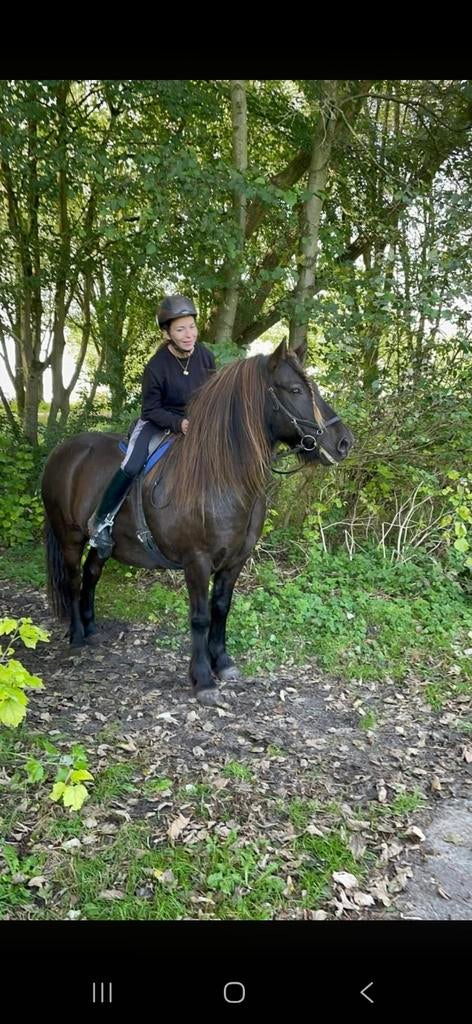 Verzorg(lease) pony of paard gezocht, Ophalen of Verzenden