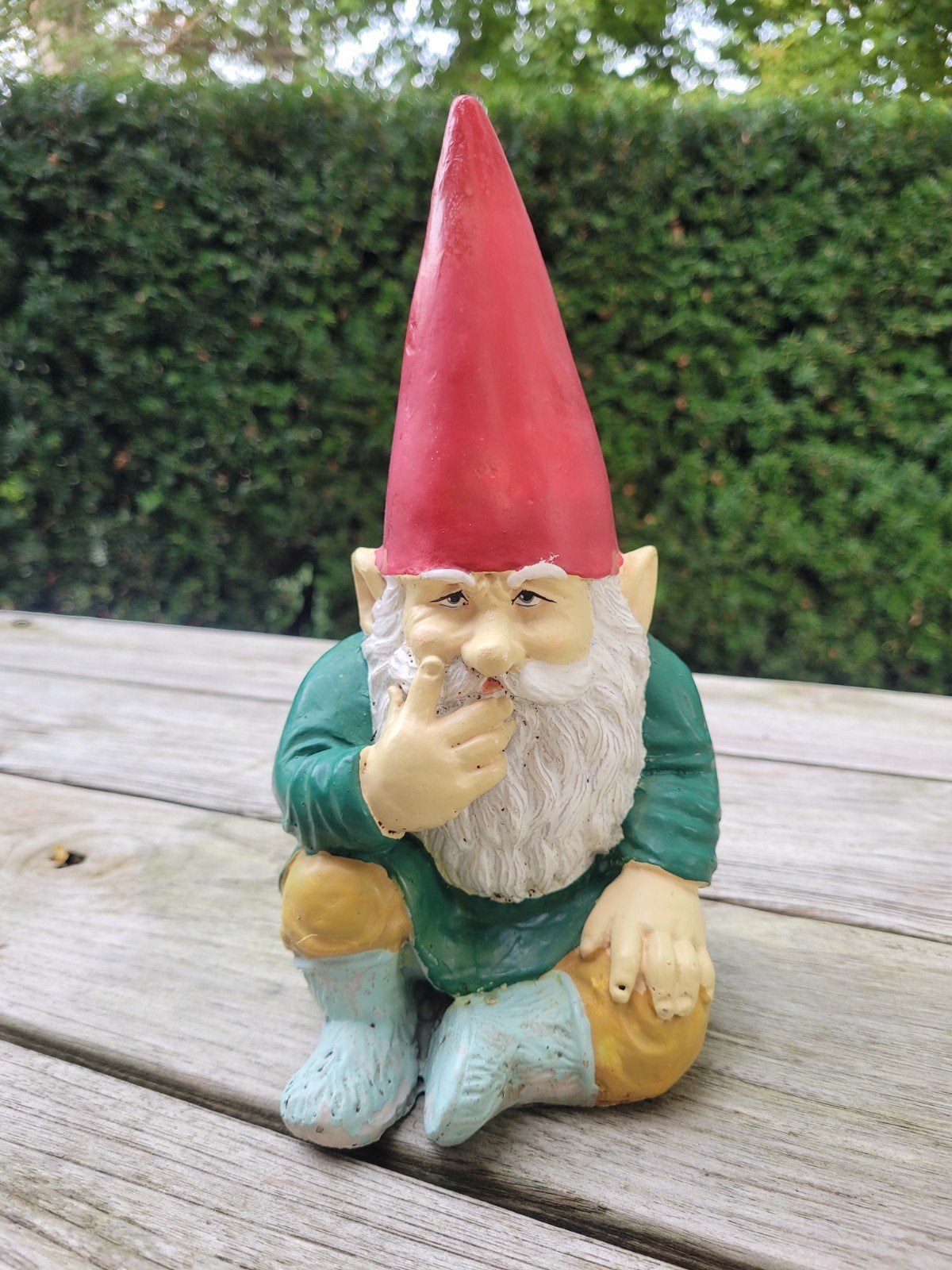 Rien Poortvliet, Tuin en Terras, Ophalen of Verzenden, Gebruikt