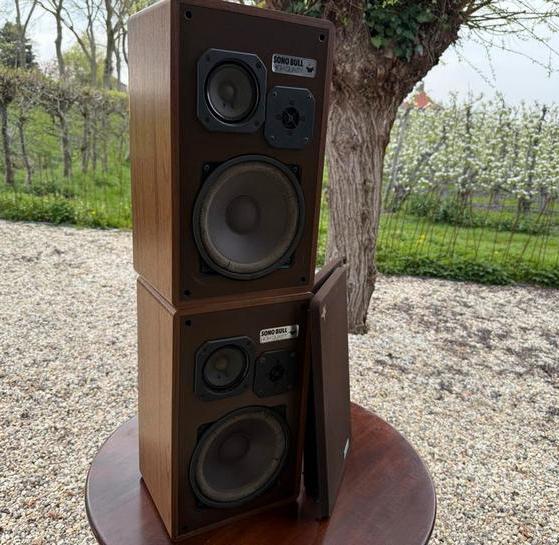 Set magnat Sonobull 20 speakers, Ophalen, Gebruikt, Magnat, 60 tot 120 watt