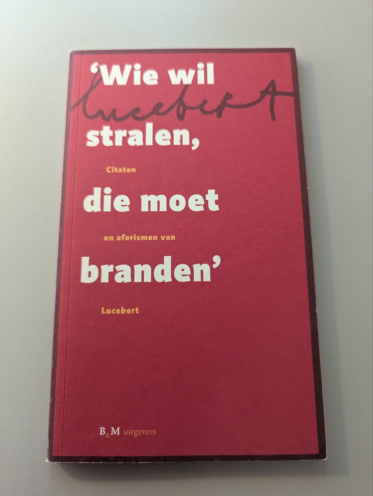 Lucebert - Wie wil stralen, die moet branden (2007), Lucebert, Sociale wetenschap, Ophalen of Verzenden, Zo goed als nieuw