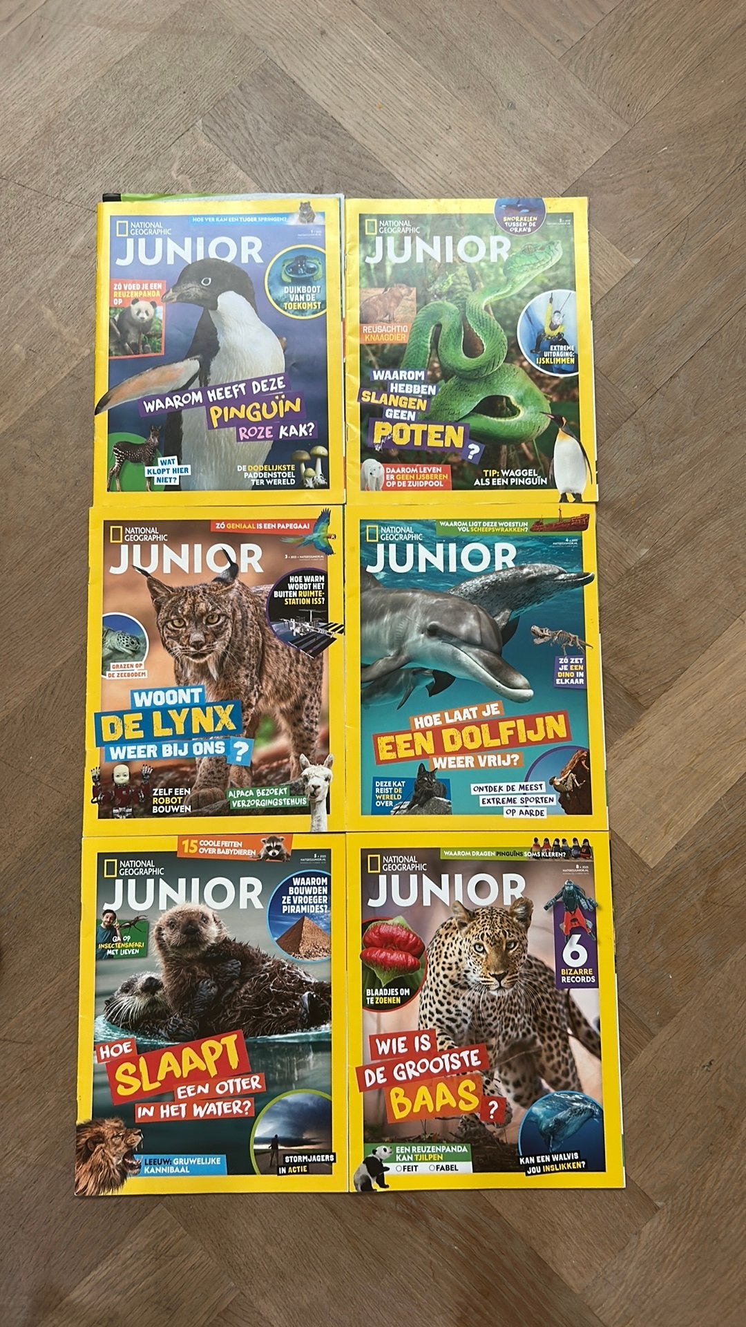 National geographic junior, Boeken, Kinderboeken | Jeugd | onder 10 jaar, Ophalen of Verzenden, Zo goed als nieuw, Non-fictie
