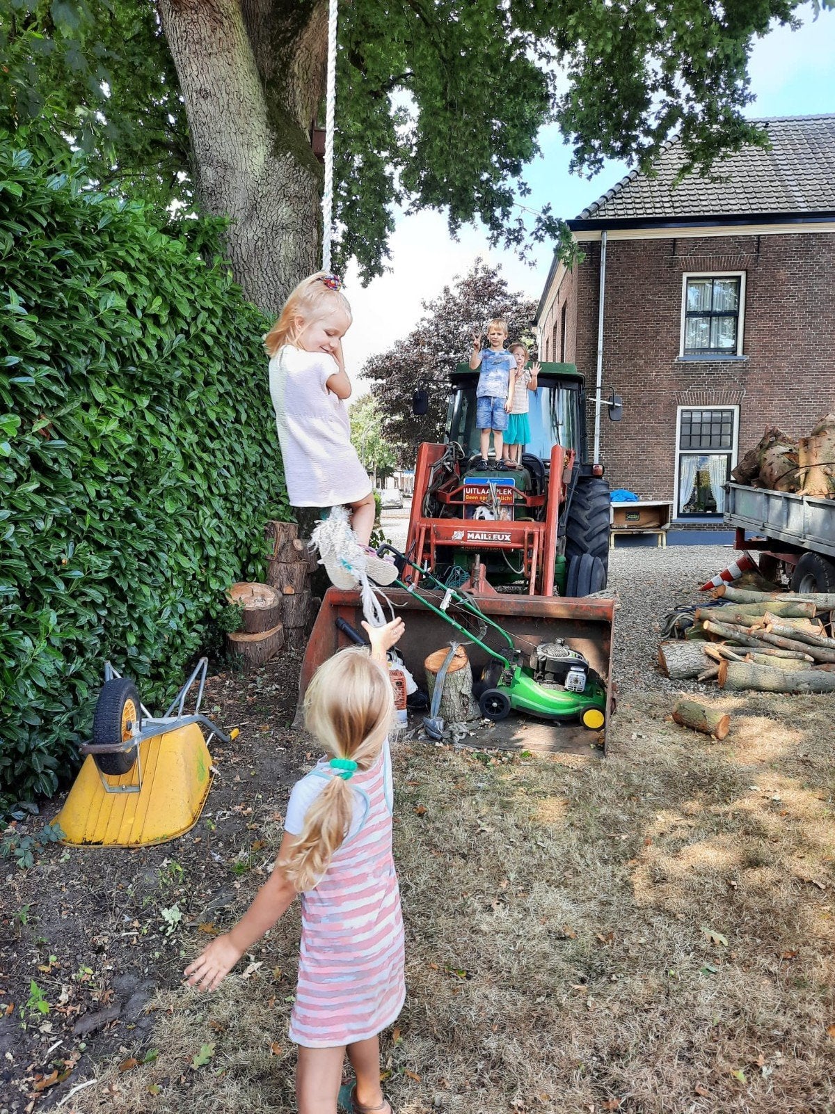 grasmaaier, Ophalen of Verzenden