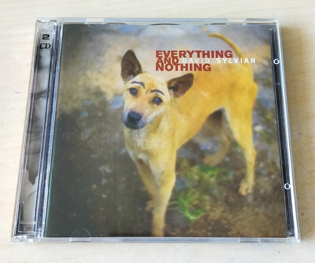 David Sylvian - Everything and Nothing 2CD 2000, Ophalen of Verzenden, Gebruikt, Progressive