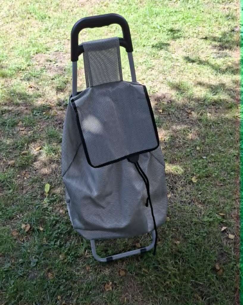 Boodschappentrolley, 30 cm of meer, Gebruikt, Beige, 60 tot 80 cm