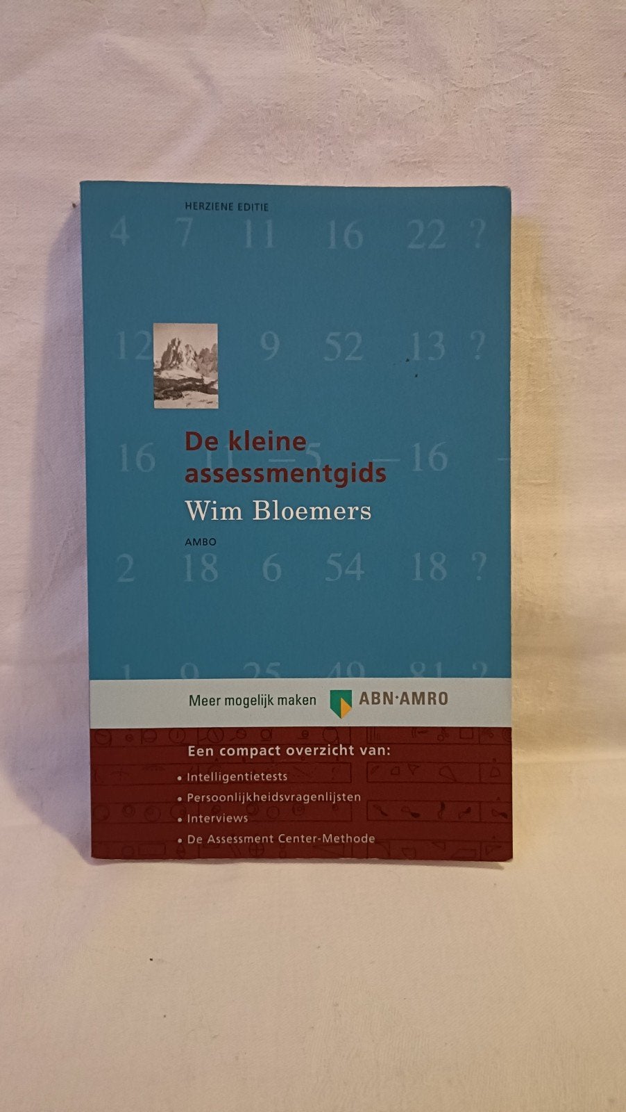 Bloemers, Wim - De kleine assessmentgids, Boeken, Wim Bloemers, Ophalen of Verzenden, Ontwikkelingspsychologie, Zo goed als nieuw