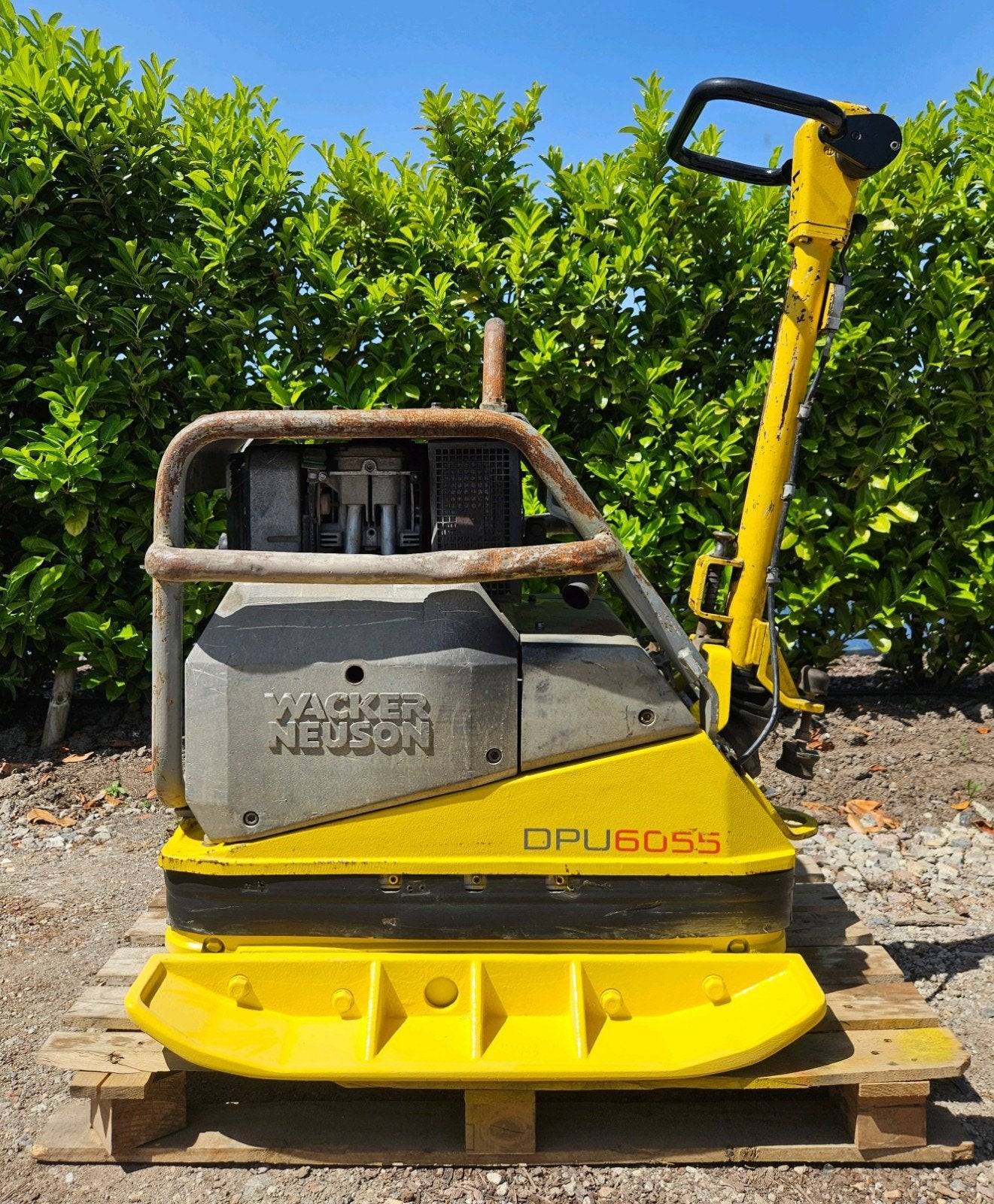 Wacker DPU 6055 trilplaat Hatz diesel 6 ton, Ophalen, Gebruikt