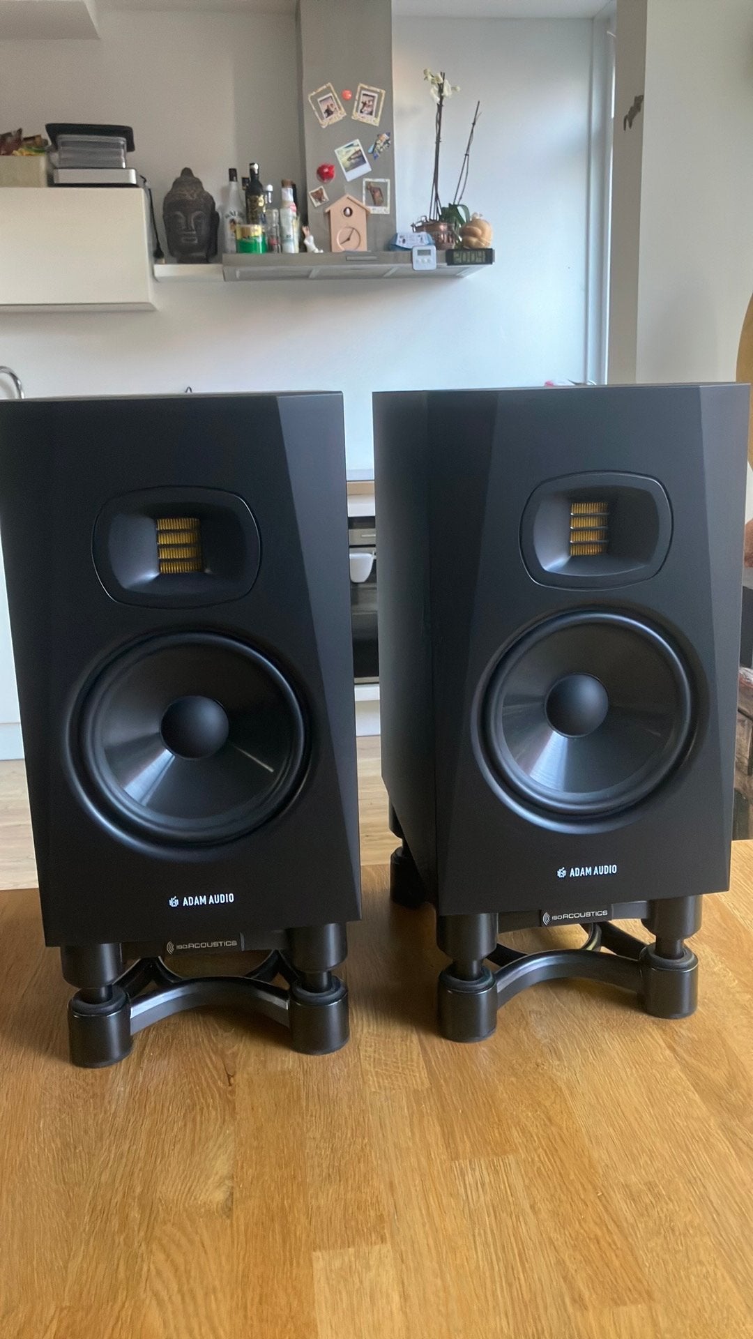 Set Adam Audio T7V