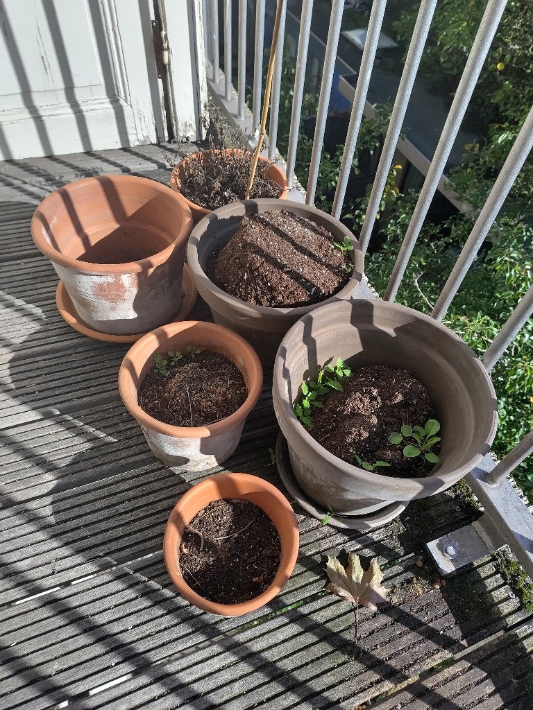 Bloempotten van klei, Ophalen, Gebruikt, Rond, Aardewerk