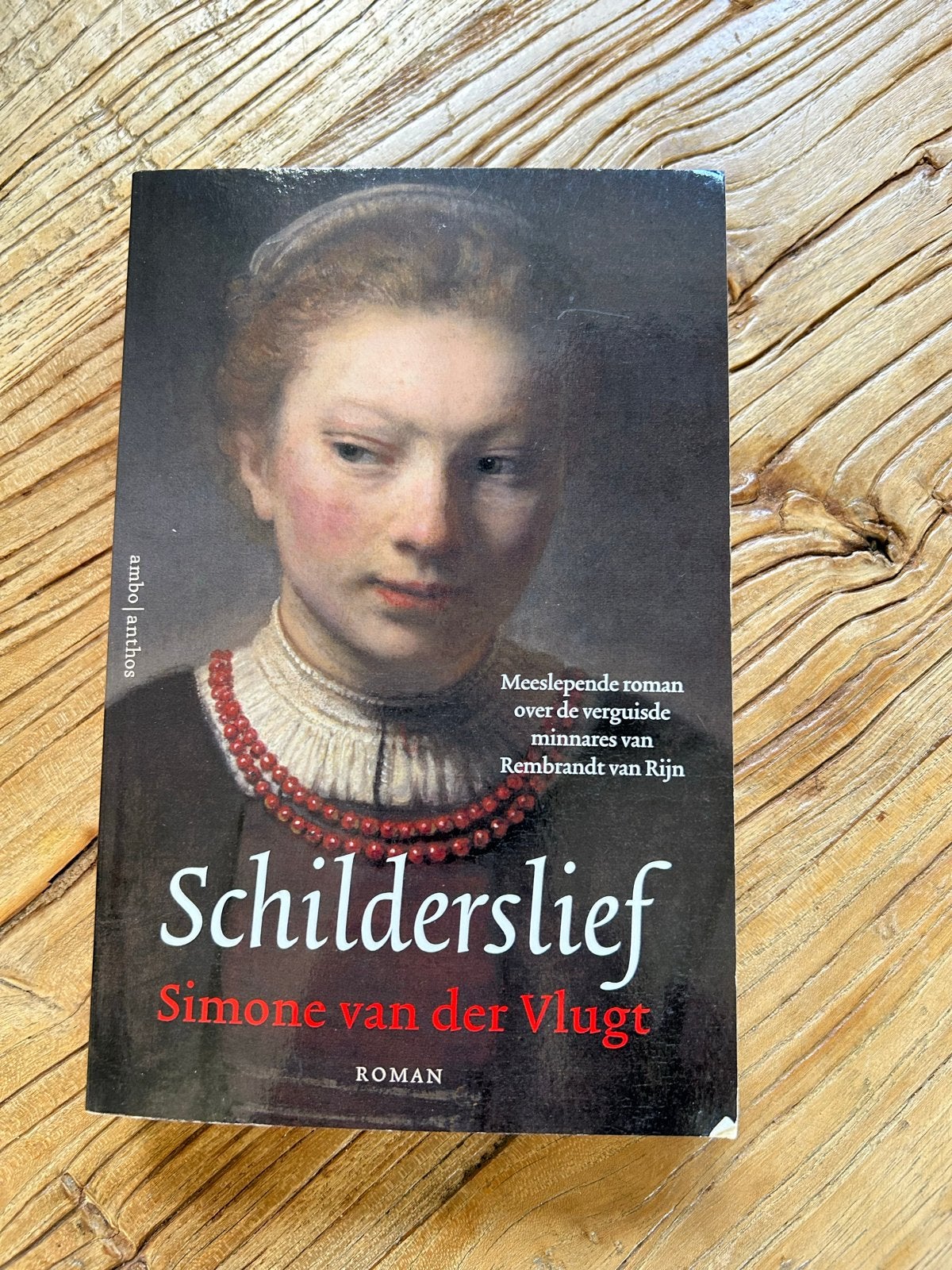 Schilderslief - Simone van der Vlugt (Roman), Boeken, Ophalen, Zo goed als nieuw