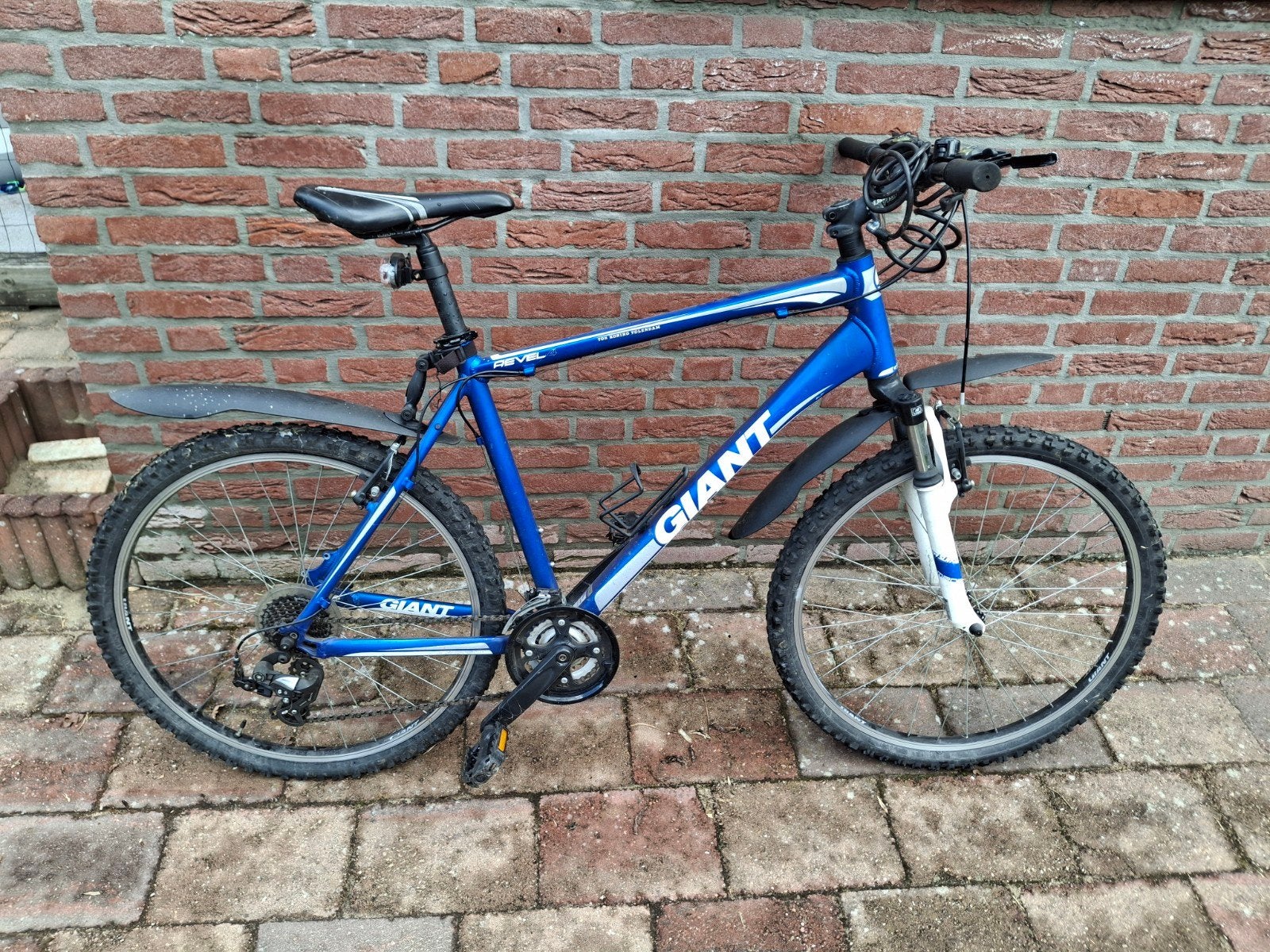 Mountainbike Giant Revel 4, Fietsen en Brommers, Fietsen | Mountainbikes en ATB, Ophalen, Gebruikt, Heren, Giant
