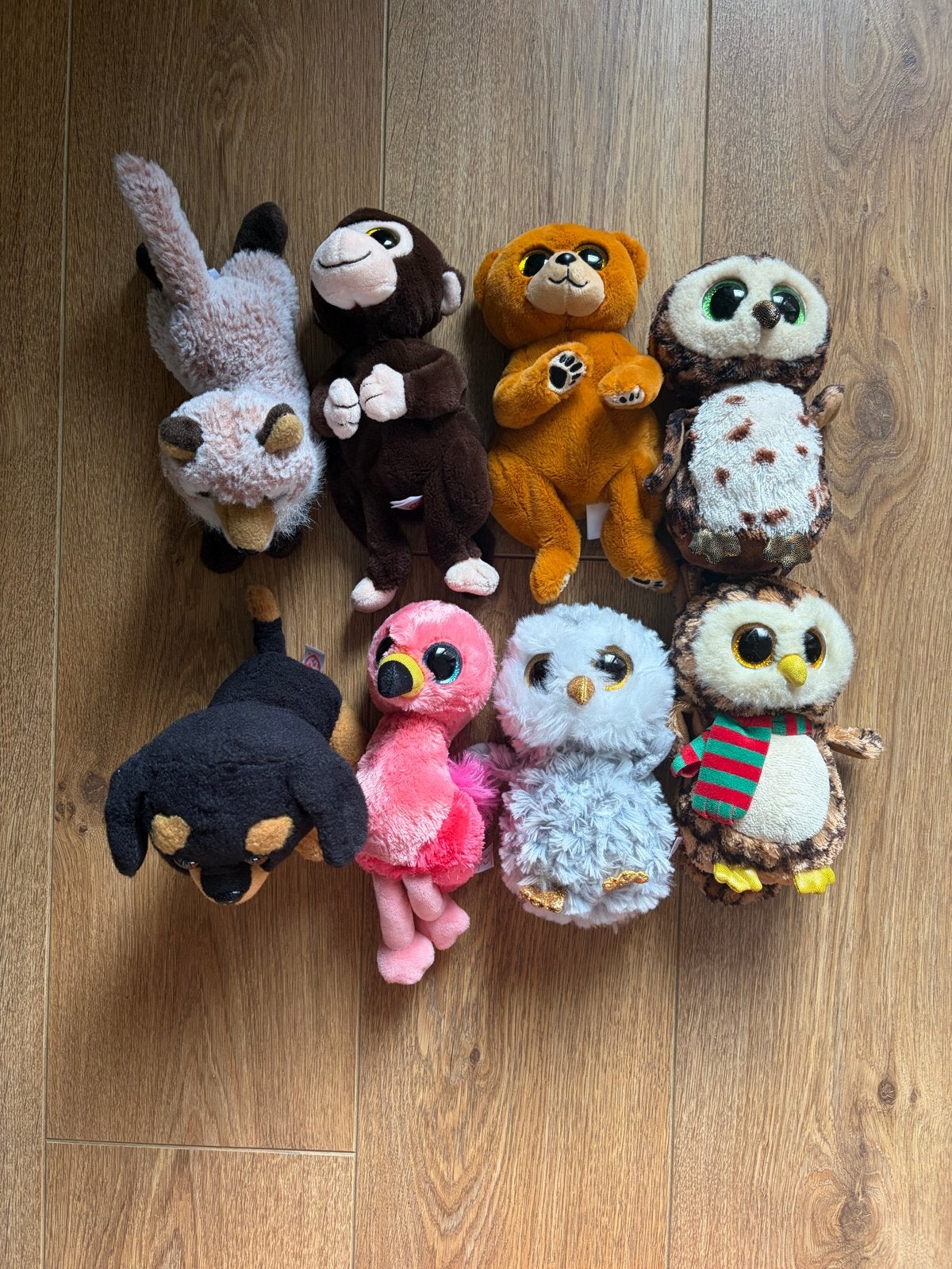 Grote collectie Ty Beanie Boo's knuffels, Overige typen, Middelgroot (20 tot 80 cm), Meerkleurig, Ty