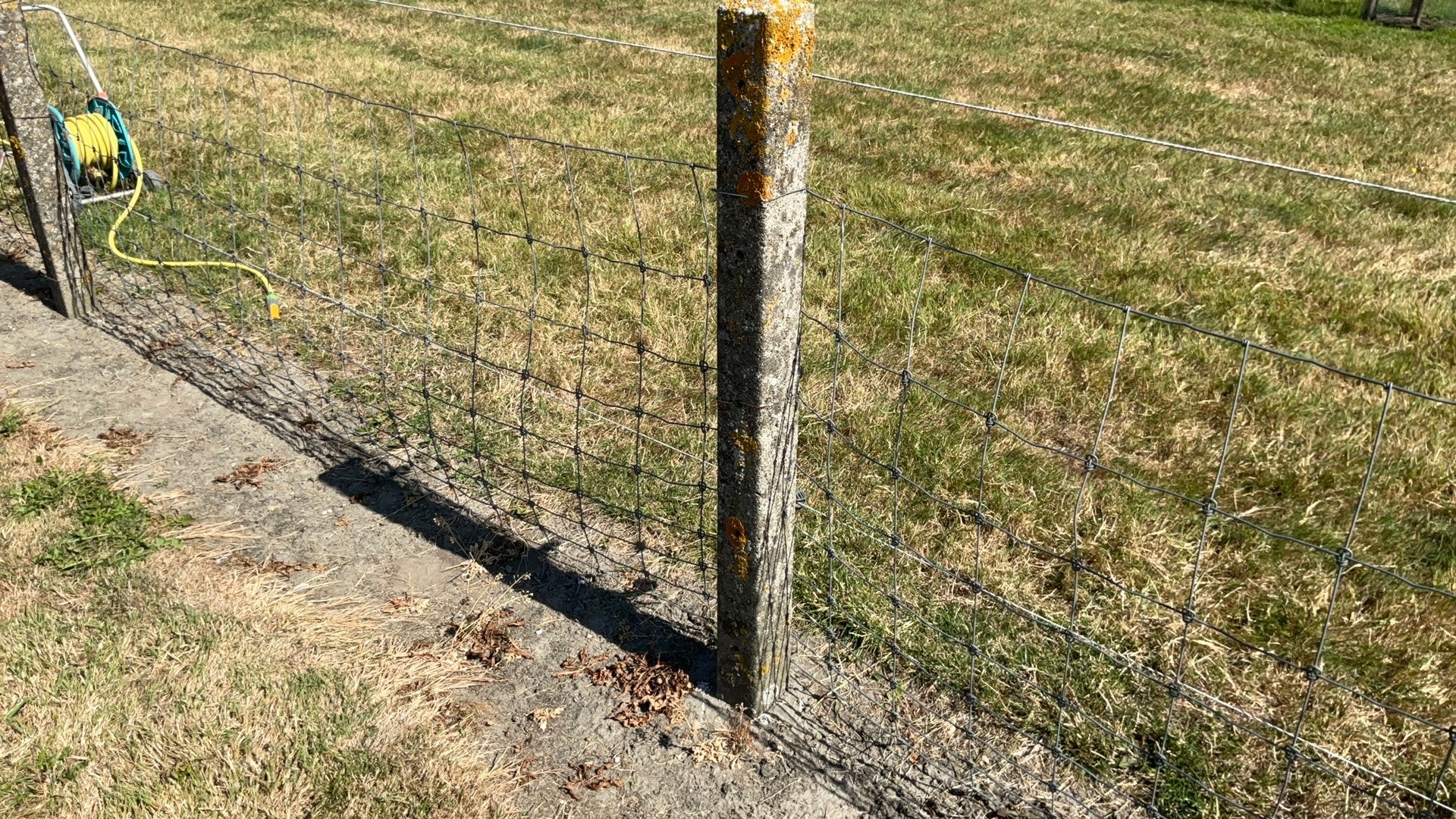 Schering/Tuin betonpalen, Ophalen, Overige materialen, Gebruikt, 200 cm of meer