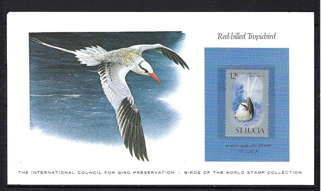 VOGELS kaart St. Lucia Red-billed Tropicbird (zegel XX), Postzegels en Munten, Ophalen of Verzenden, Postfris, Dier of Natuur