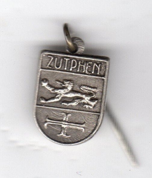 Speldje WAPEN ZUTPHEN (A8), Ophalen of Verzenden, Gebruikt, Overige onderwerpen