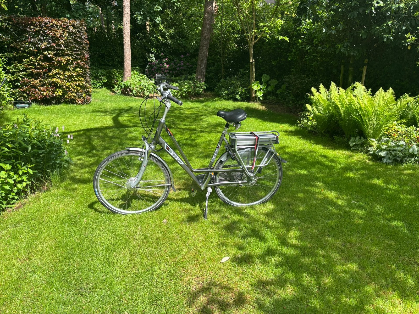 RIH Omega Electrische Fiets, Fietsen en Brommers, Elektrische fietsen, Gebruikt, Overige merken, 55 tot 59 cm, Ophalen of Verzenden