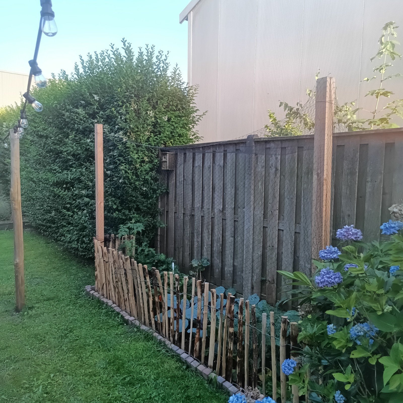 8 tuinschermen schuttingdelen + poort, Ophalen, Gebruikt, Hout