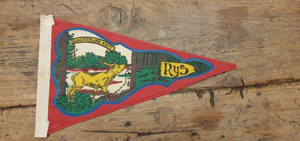 Vintage katoenen vaantje vlaggetje Rijs Gaasterlân-Sleat, Ophalen of Verzenden