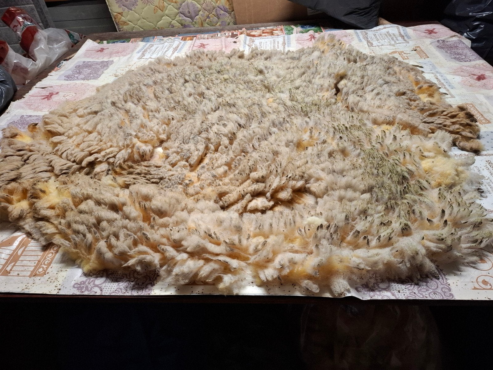 vachtdeel, Shiropshire  schaap  voor spinnen, Ophalen of Verzenden, Nieuw, Spinwol