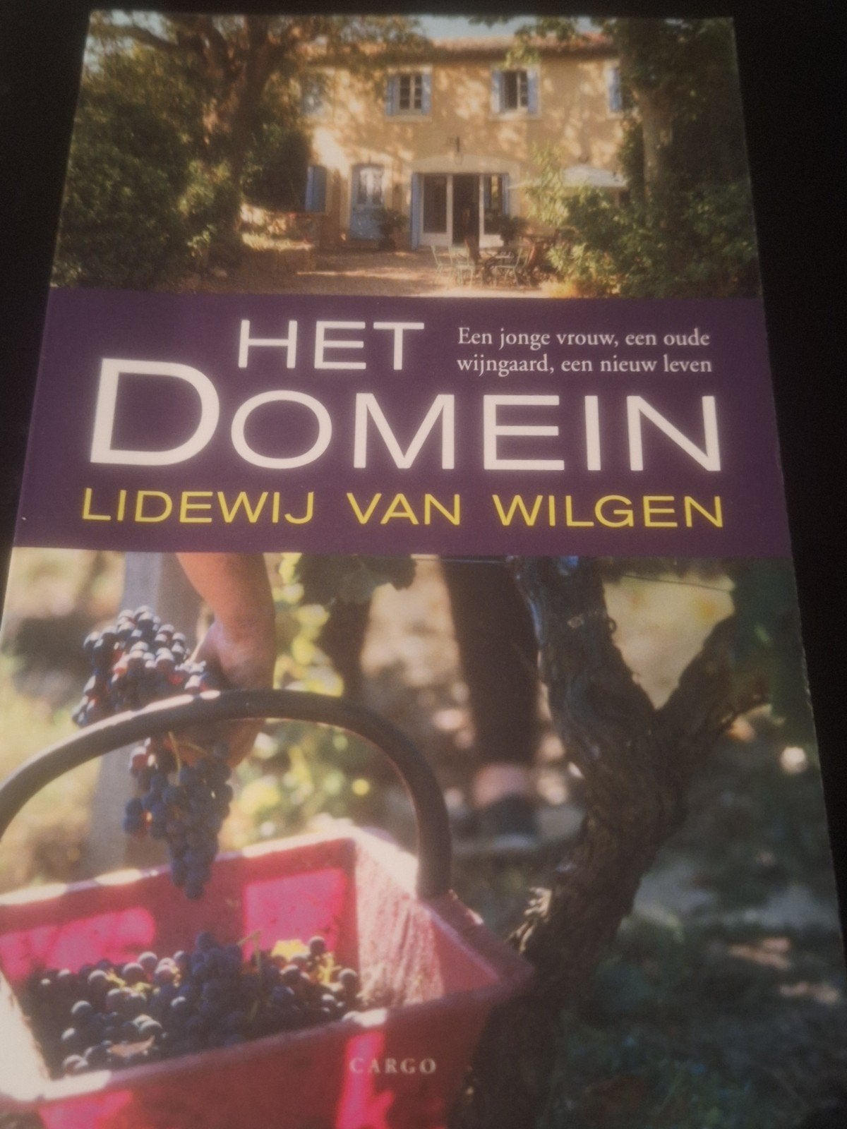 Het Domein - Lidewij van Wilgen (Boek), Boeken, Ophalen of Verzenden, Zo goed als nieuw, Lidewij van Wilgen, Overige