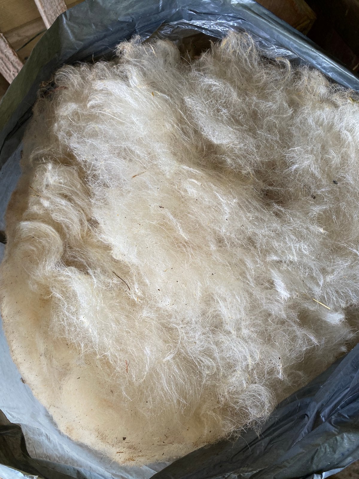 Schapenwol, 3 zakken, Mergelland schaap, Ophalen, Nieuw