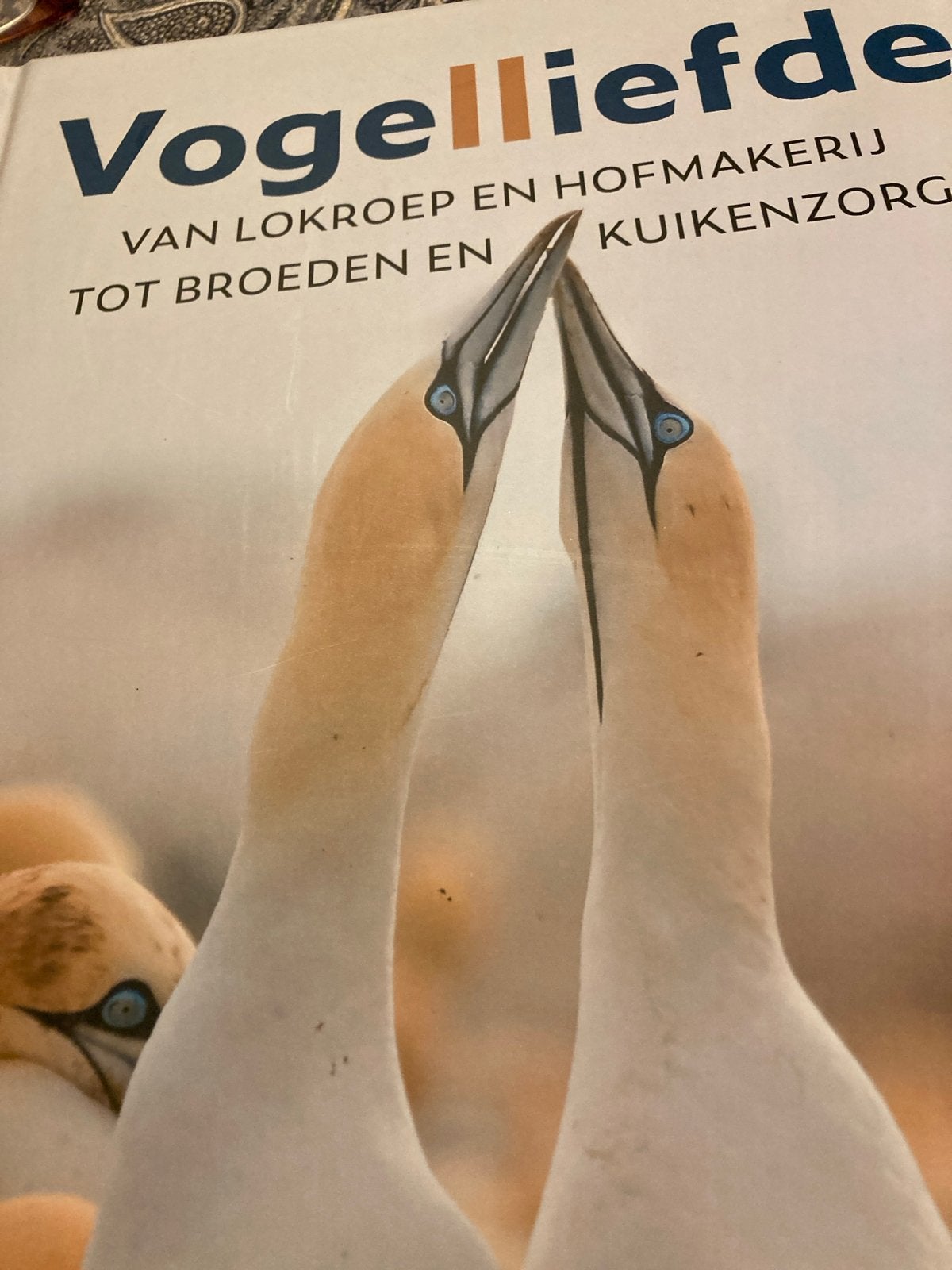 Vogelliefde: Van lokroep tot kuikenzorg - Prachtig vogelboek, Boeken, Ophalen of Verzenden, Zo goed als nieuw, Vogels