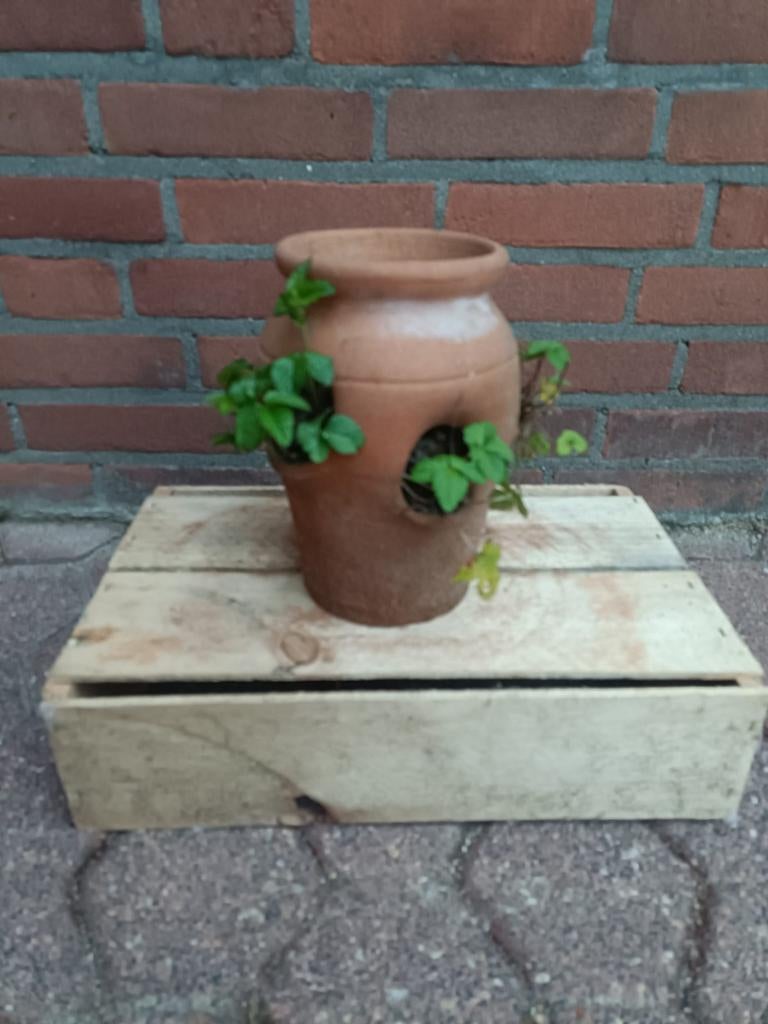 Klein aardbeien potje 20cm hoog., Tuin en Terras, Bloempotten, Ophalen, Rond, Aardewerk, Minder dan 40 cm