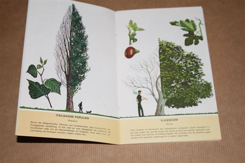 Bomen in Europa. Reader's Digest uitgave., Boeken, Ophalen of Verzenden, Gelezen, Bloemen, Planten en Bomen