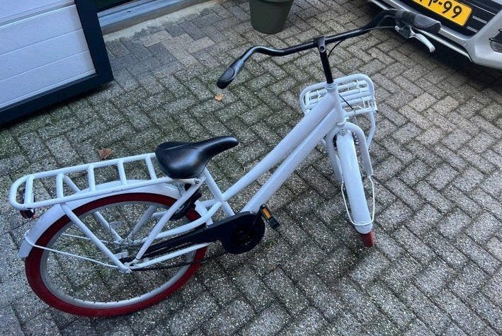 Alpina Chubb kinderfiets 24 inch, Ophalen, Gebruikt, Aanhangfiets, 80 kg of meer