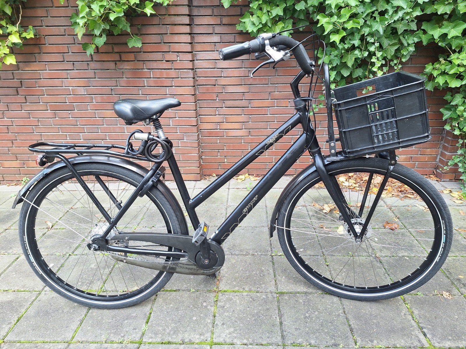 Giant  triple X, 53 tot 56 cm, Ophalen of Verzenden, Gebruikt