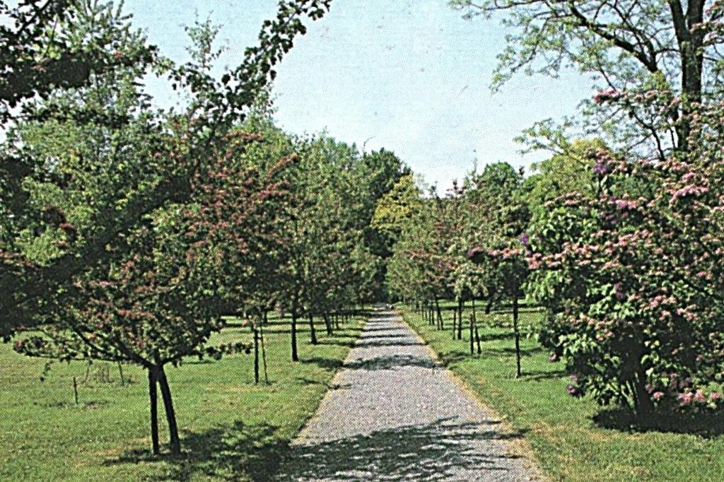 36449 Oudenbosch 80+ N Br Arboretum  zegel Vincent van Gogh, Verzamelen, Ophalen of Verzenden, 1980 tot heden, Gelopen, Noord-Brabant