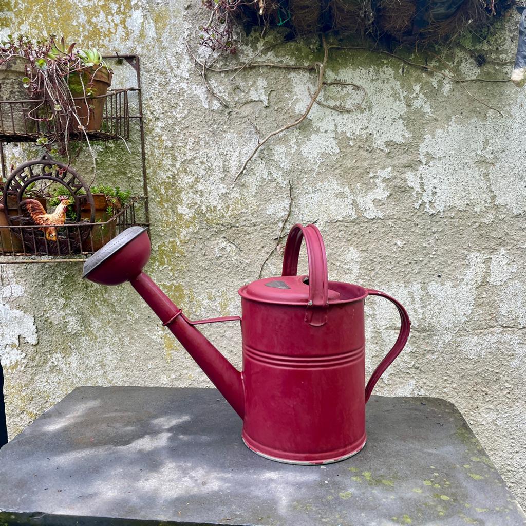 Rode zinken gieter 5 liter Kovotvar, Ophalen, Gebruikt