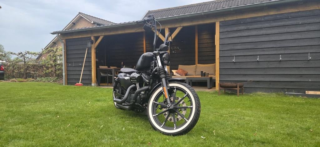 Harley Davidson Sportster iron 883 Custom, Chopper