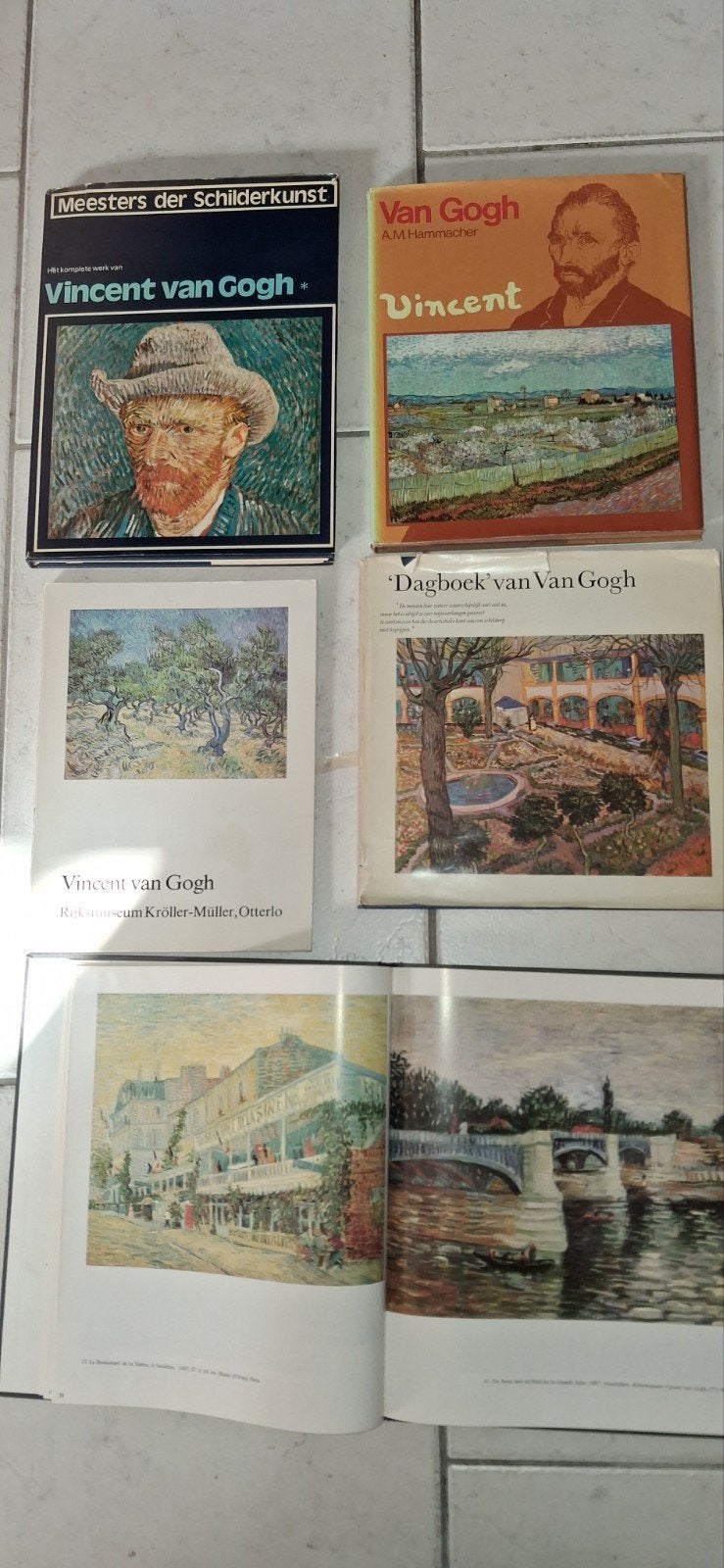 Vincent van Gogh Boeken  Kunst & Biografie alles samen 10.-, Ophalen of Verzenden, Gelezen, Schilder- en Tekenkunst