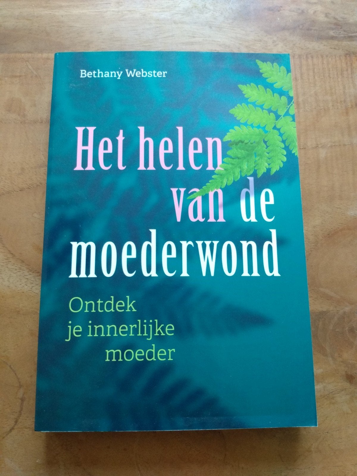 Bethany Webster - Het helen van de moederwond. Nieuwstaat, Ophalen of Verzenden, Zo goed als nieuw, Bethany Webster
