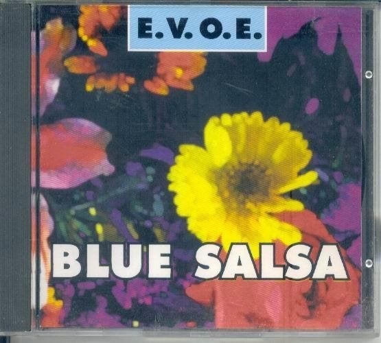 cd van E.V.O.E., Verzenden, Zo goed als nieuw, Disco