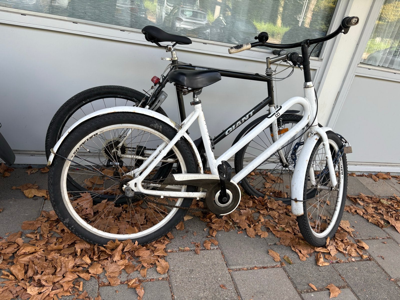 Batavus fiets, wit, gebruikt, Velgrem, 53 tot 56 cm, Gebruikt, Giant